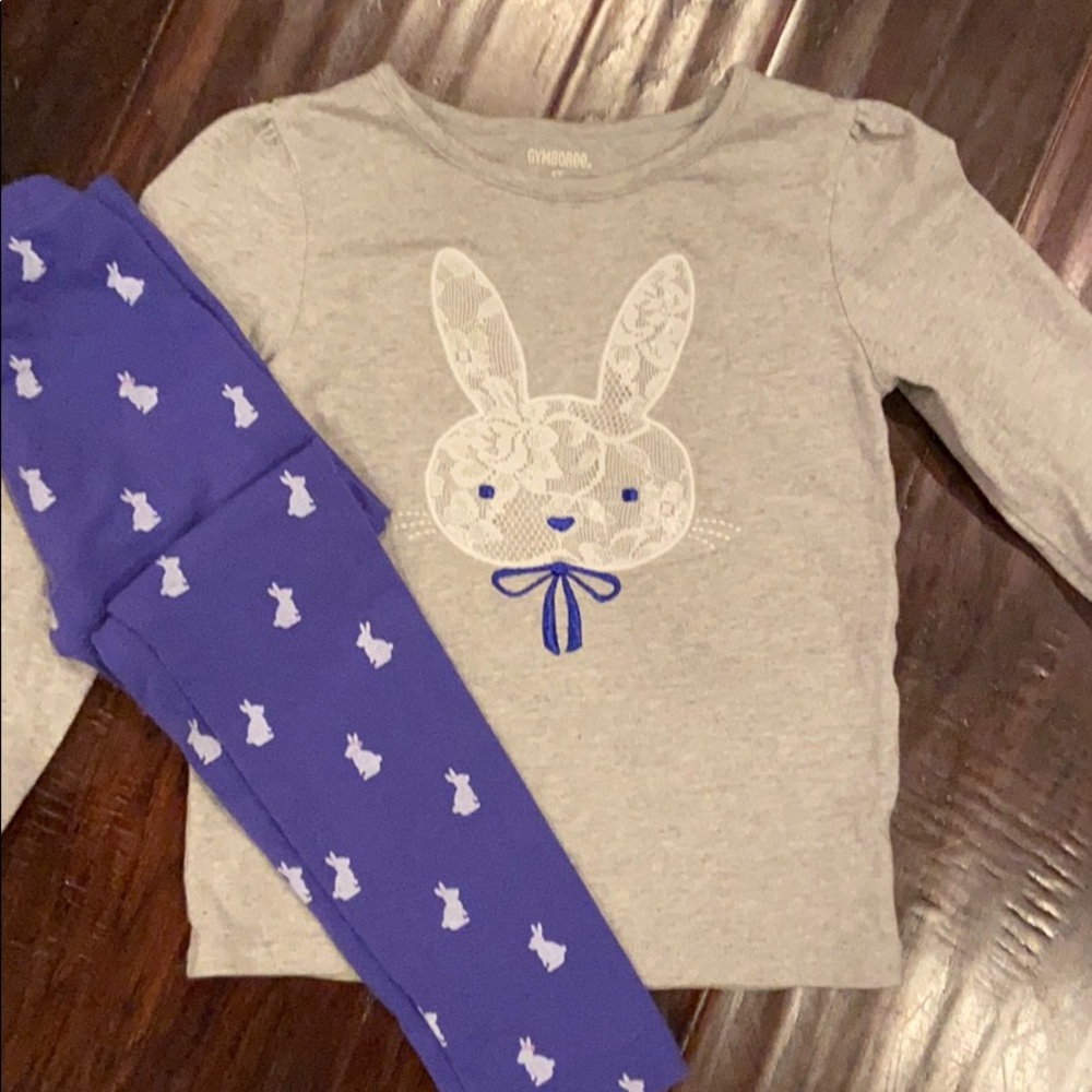 Gymboree Bunny Shirt and Pants 4T